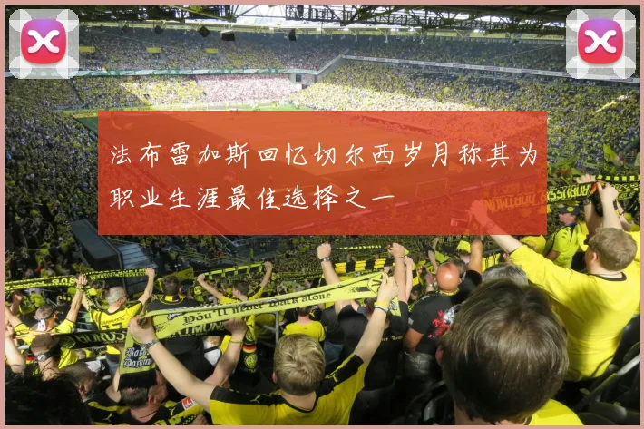 法布雷加斯回忆切尔西岁月称其为职业生涯最佳选择之一