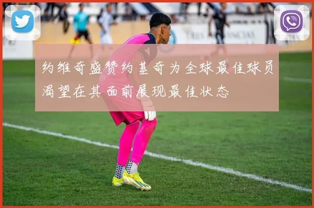 约维奇盛赞约基奇为全球最佳球员渴望在其面前展现最佳状态